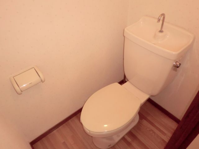 Toilet. Beautiful toilet.