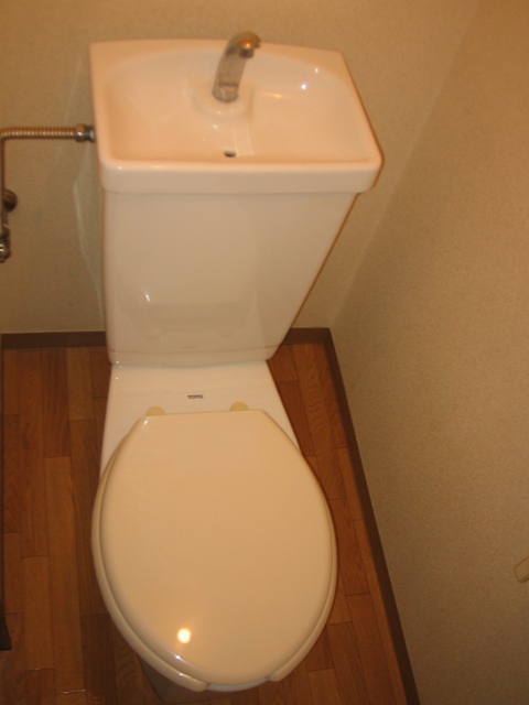 Toilet. Toilet