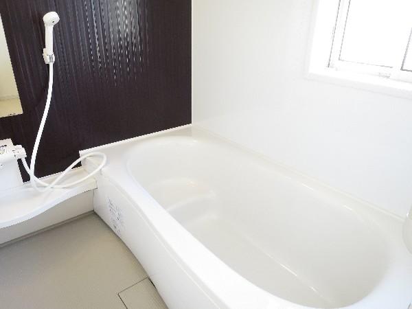 Bathroom. Feet extensible spacious bathtub. Heal the fatigue of the day. 