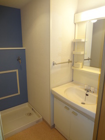 Washroom. Wash undressing room