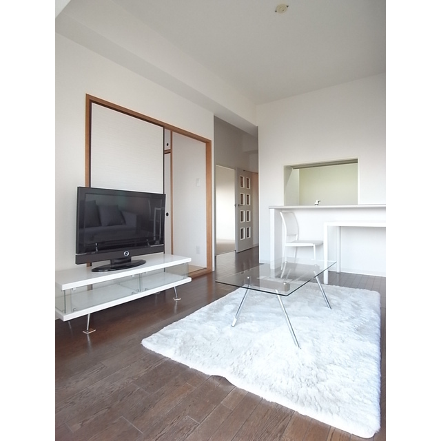 Living and room. Model room installation in