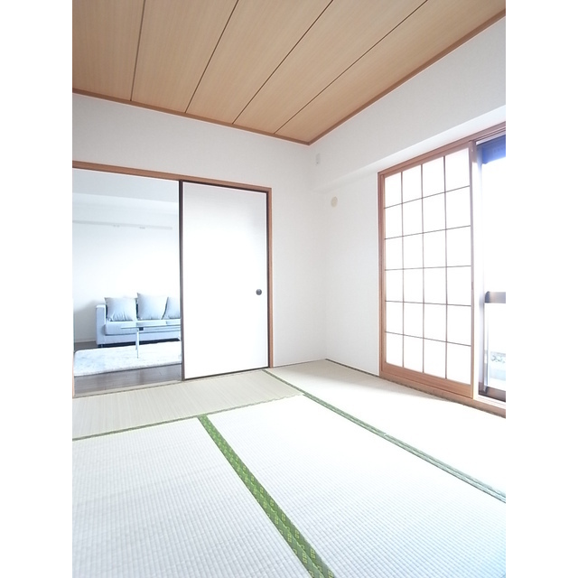 Other room space. Japanese style room