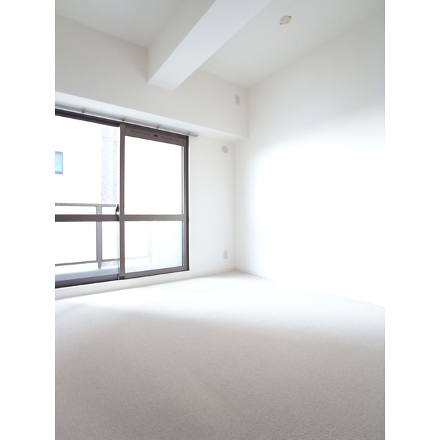 Other room space. Western style room
