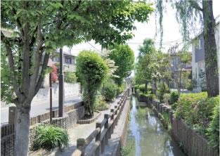 park. 596m until Rokutsuji waterfront park