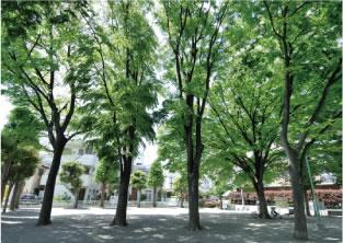 park. 759m to Gozen park