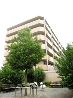 Building appearance. 2000 built condominium