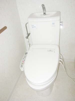 Toilet. Bidet