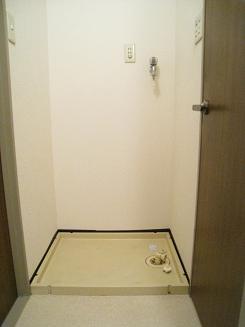 Washroom. This washing machine Storage