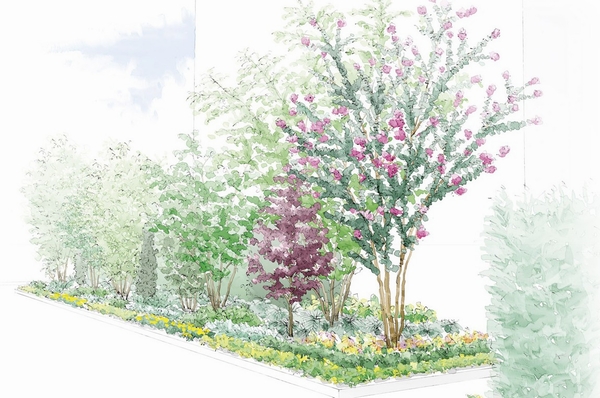 Sub entrance planting image illustrations