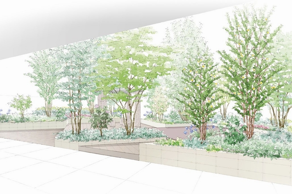 Community Garden image illustrations