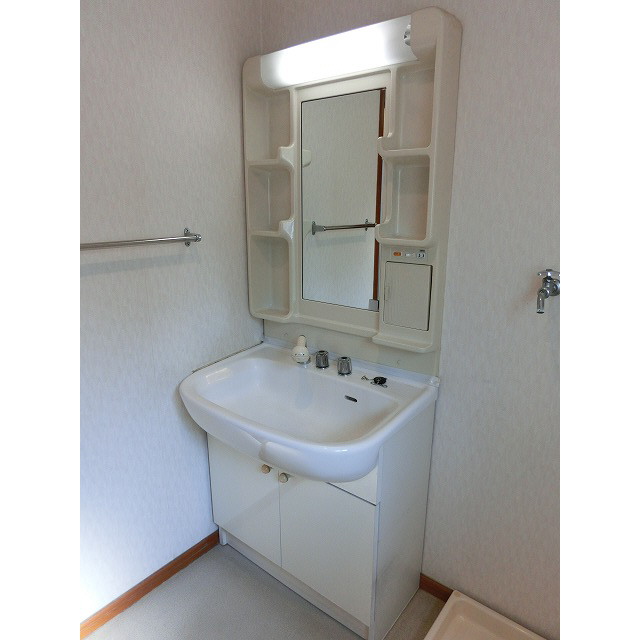 Washroom. Shampoo dresser