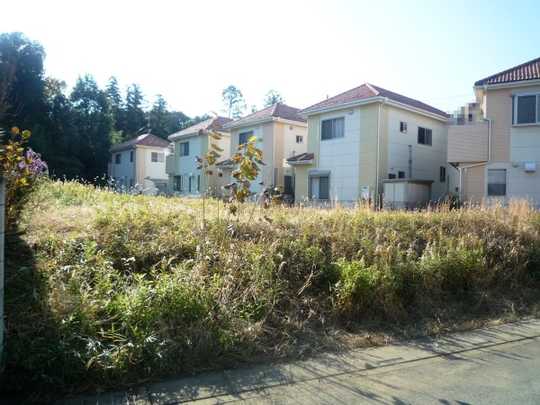 Local land photo. Local (1)