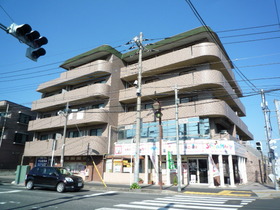 Building appearance. It is a profound apartment