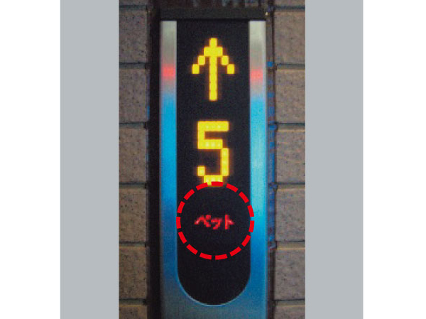 Other.  [Pets live Allowed] A member of the pets family. This apartment to be able to live comfortably with such a precious pet. Also, The elevator also provides the ability to display that you are a passenger with pets, You can also prevent the ran into the pet each other in advance in the elevator.  ※ Since the pet there is a limit, For more information, please contact the person in charge. (More than the published photograph of the same specifications)