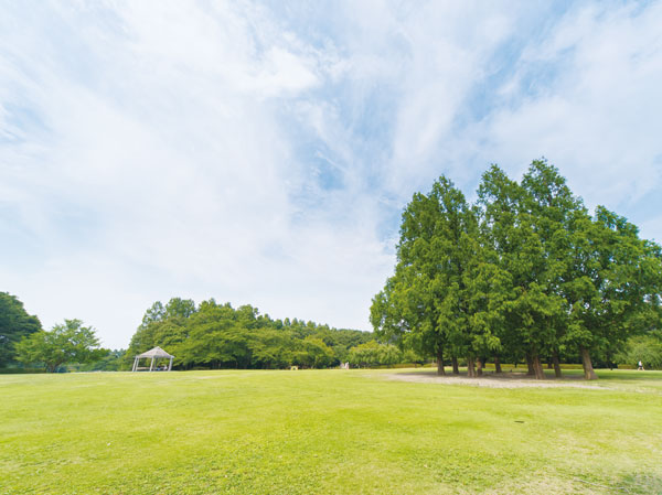 Surrounding environment. Forest of citizens (a 12-minute walk ・ About 950m)