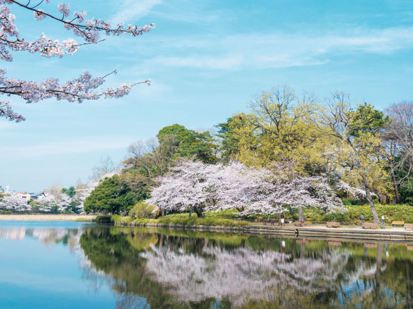 Surrounding environment. Omiya Park (walk 28 minutes ・ About 2220m)