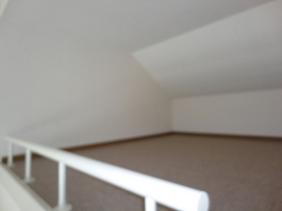 Other. Loft 3 Pledge