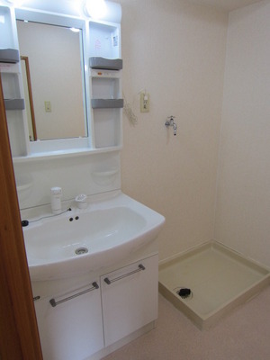 Washroom. It comes with a popular shampoo dresser