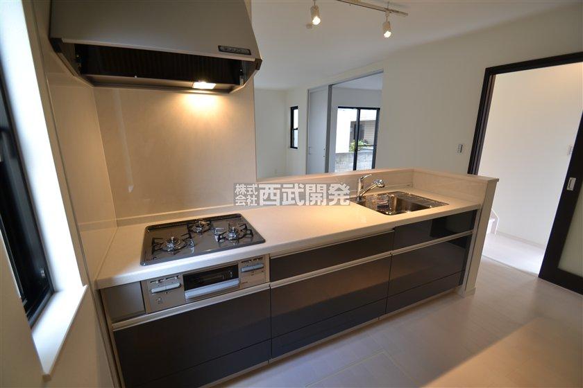 Kitchen. Indoor (12 May 2013) Shooting