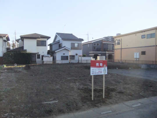 Local land photo. appearance