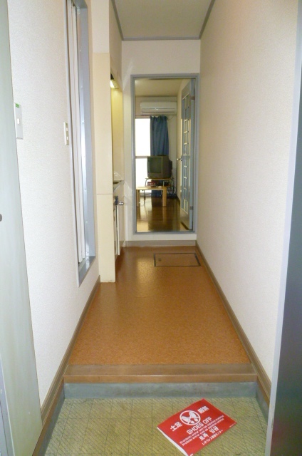 Entrance. From the front door to the living room