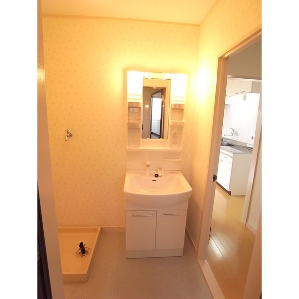 Washroom. Shampoo dresser