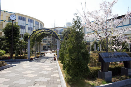 Junior high school. 1756m until the Saitama Municipal Haruno junior high school (junior high school)