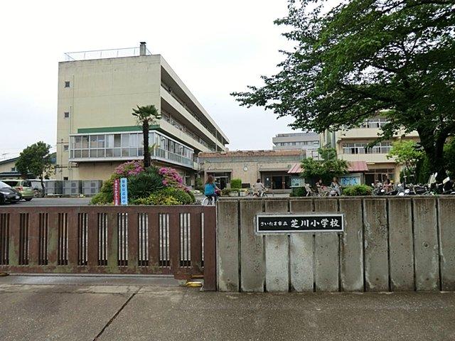Other. Shibakawa elementary school