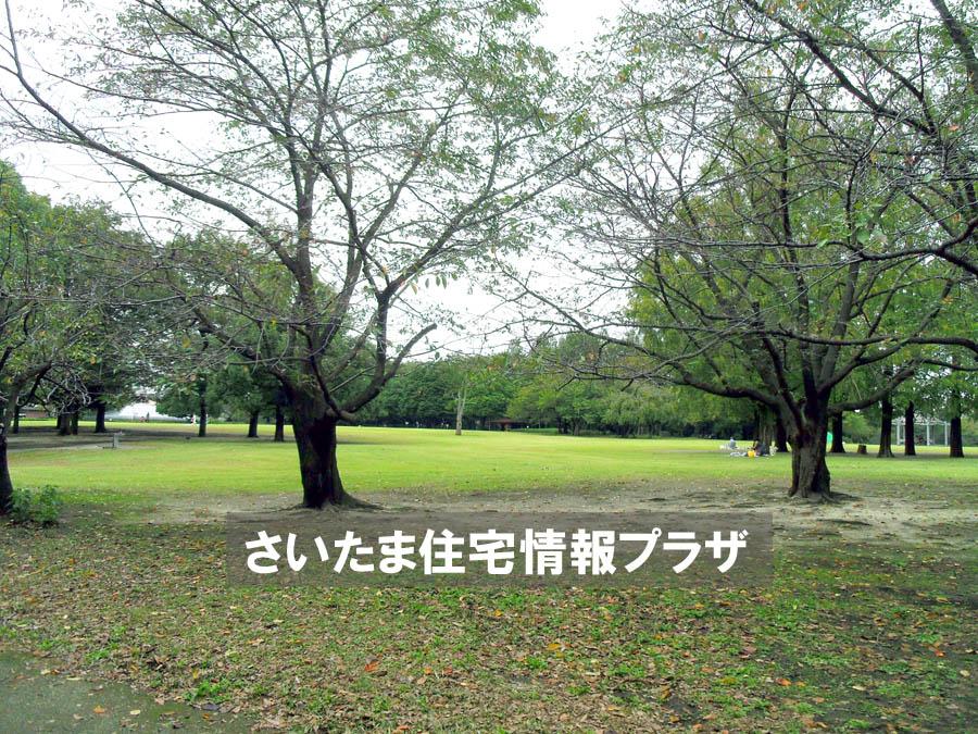 Other. Forest of citizens