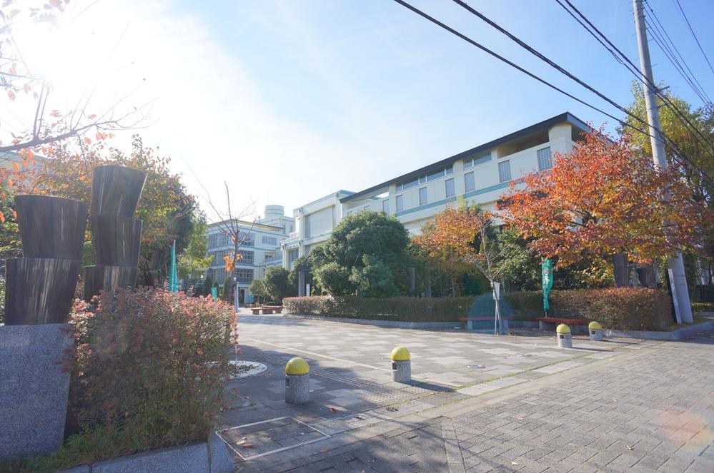 Junior high school. Haruno junior high school