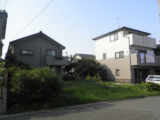 Local land photo. Local Photos (1)