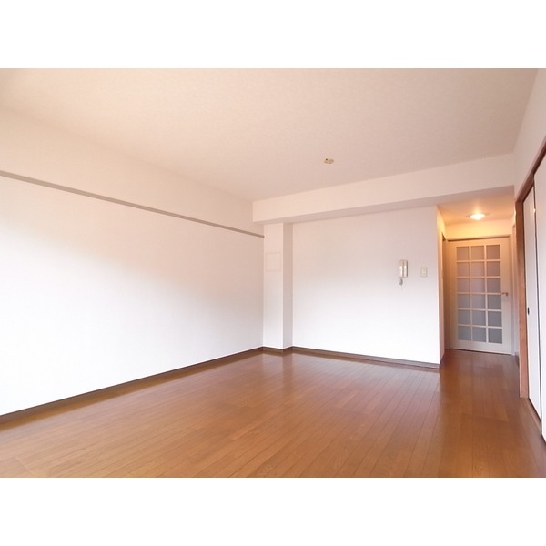 Living and room. This flooring