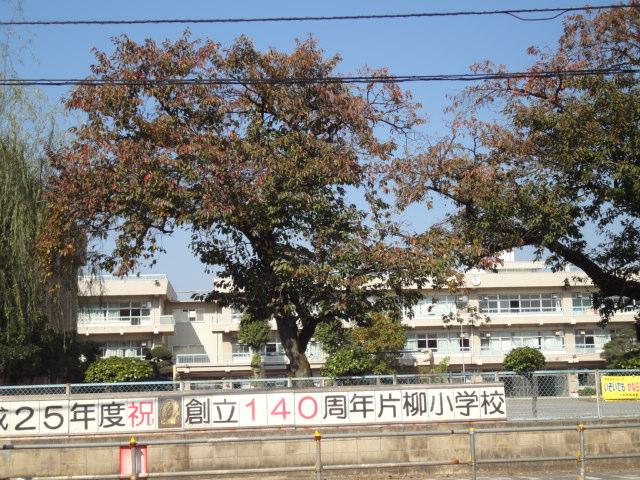 Primary school. Katayanagi elementary school (designated school), Ebinuma elementary school (allow schools)