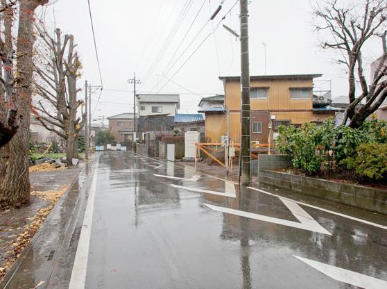 Local photos, including front road