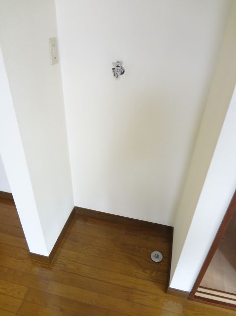 Other. You put in the room is also a washing machine.