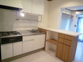 Kitchen. Counter systems with kitchen