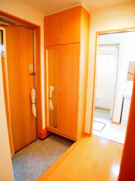 Other introspection. It comes with a full-length mirror mirror on the entrance shelf, Pat grooming check before going out!