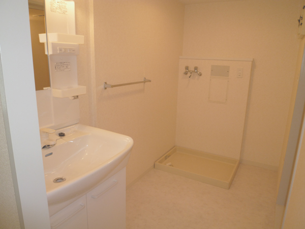 Washroom. This basin