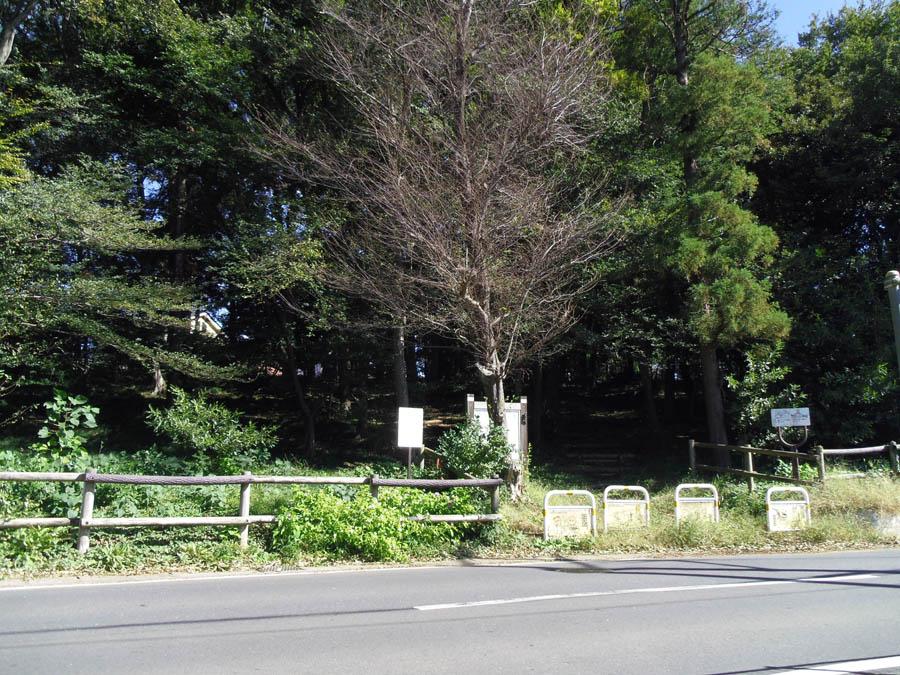 Other. Minaminakamaru parkland