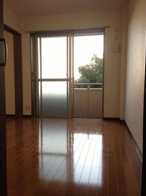 Living and room. Day is good