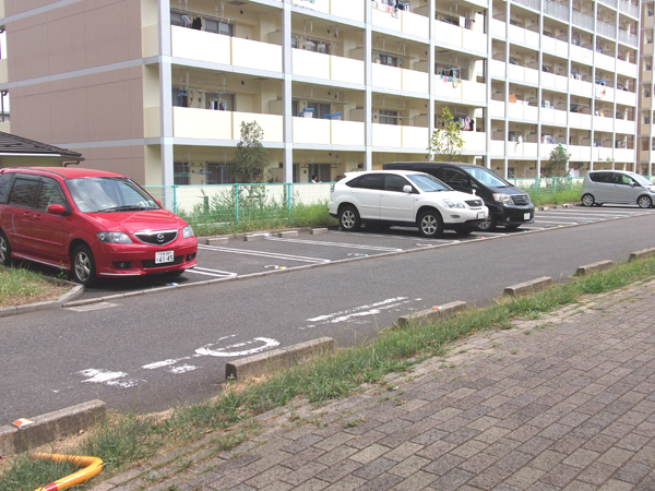 Parking lot. Is a parking lot in the park