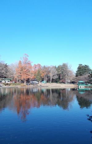 Is Saitama Prefecture's first prefectural park Omiya Park. Among the rich natural, Enjoy the day with family