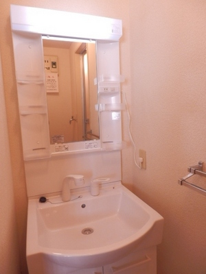 Washroom. Happy shampoo dresser in a busy morning