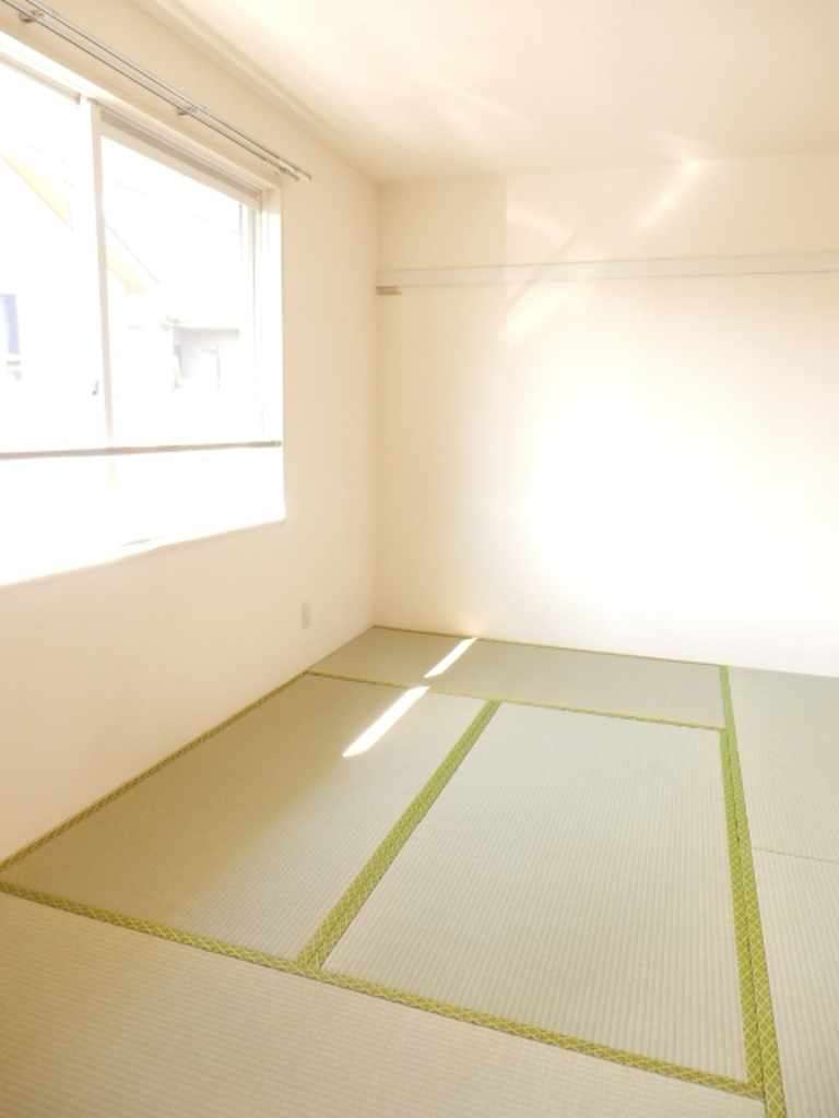 Living and room. Bright day refers from large windows