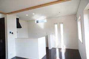 Other. After having to ask the customer's request to construction than the design in our free plan, It has been building.