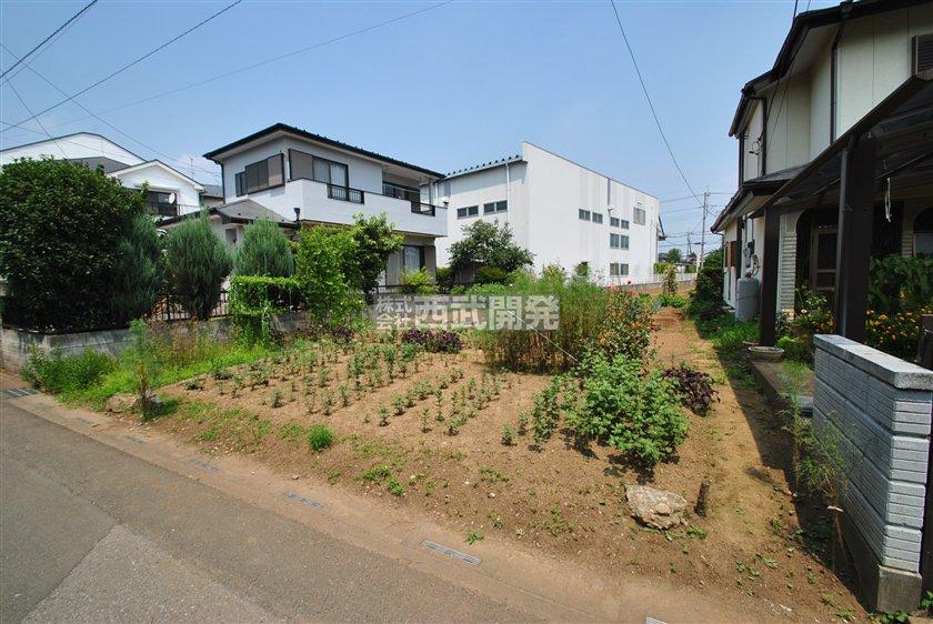 Local land photo. Local (August 2013) Shooting