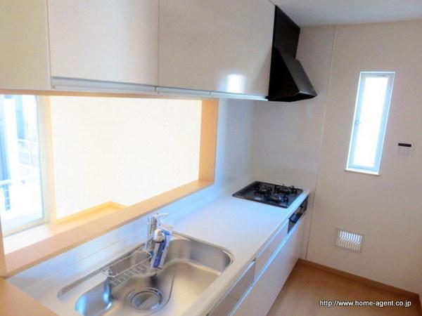 Kitchen. Popular face-to-face kitchen