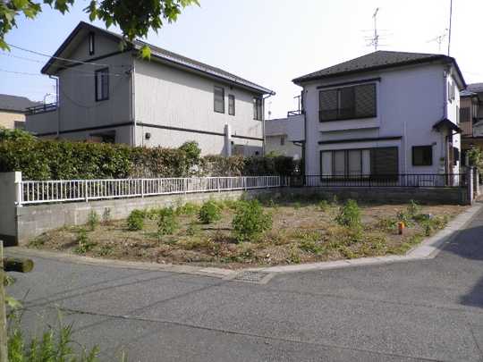 Local land photo. Appearance (1)