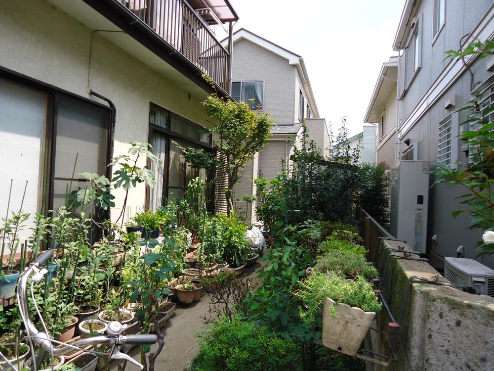 Local land photo. Local (August 2013) Shooting