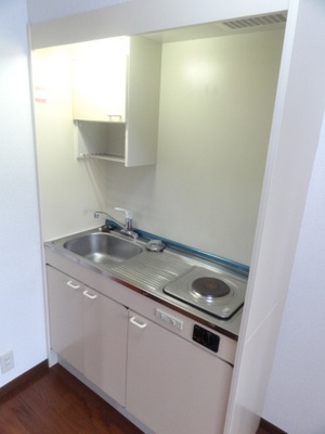 Kitchen. Electric stove installed already